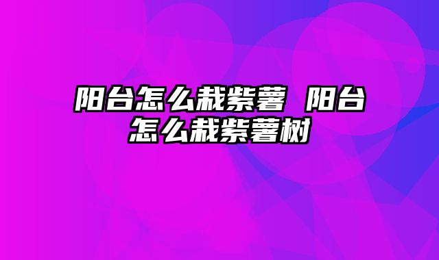 阳台怎么栽紫薯 阳台怎么栽紫薯树