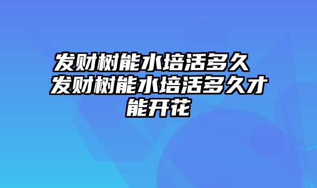 发财树能水培活多久 发财树能水培活多久才能开花