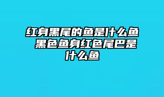 红身黑尾的鱼是什么鱼 黑色鱼身红色尾巴是什么鱼