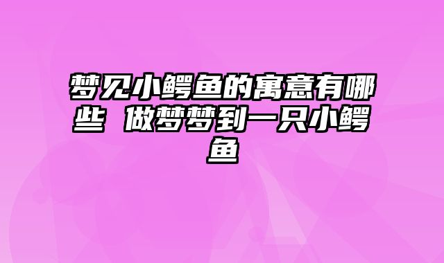 梦见小鳄鱼的寓意有哪些 做梦梦到一只小鳄鱼