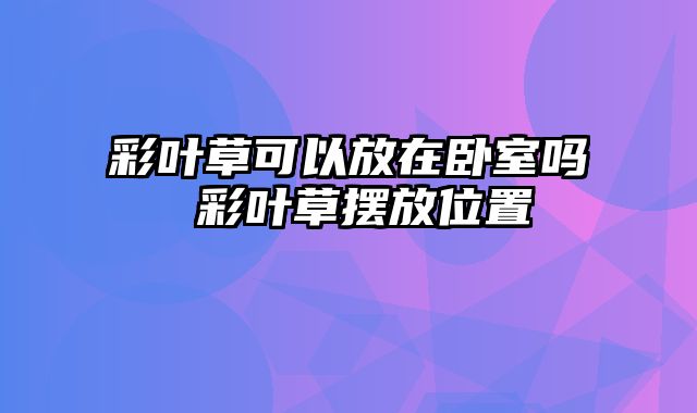 彩叶草可以放在卧室吗 彩叶草摆放位置