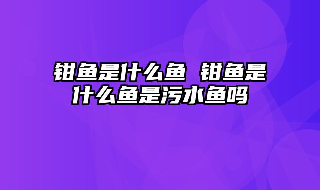 钳鱼是什么鱼 钳鱼是什么鱼是污水鱼吗