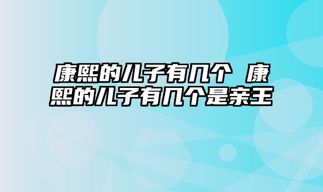 康熙的儿子有几个 康熙的儿子有几个是亲王