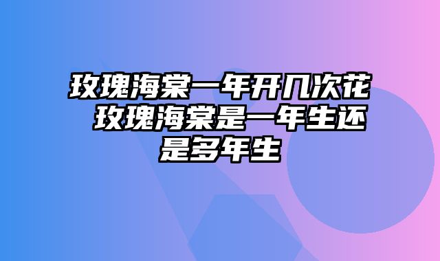 玫瑰海棠一年开几次花 玫瑰海棠是一年生还是多年生