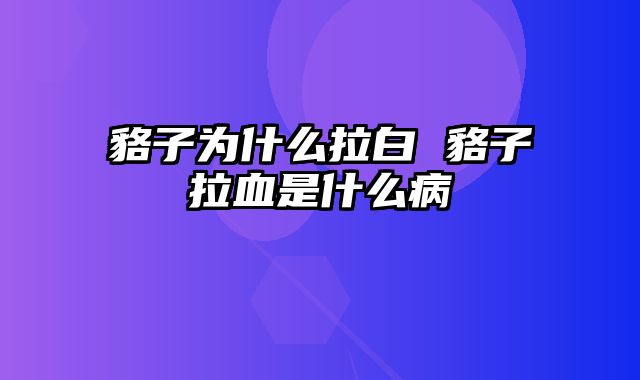 貉子为什么拉白 貉子拉血是什么病