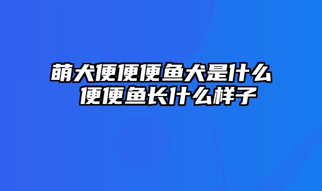 萌犬便便便鱼犬是什么 便便鱼长什么样子