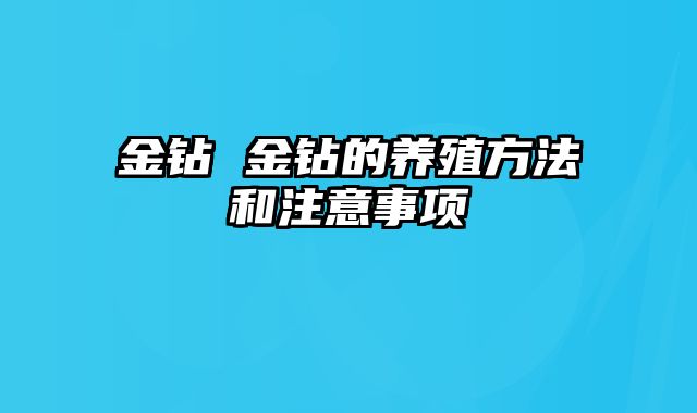 金钻 金钻的养殖方法和注意事项