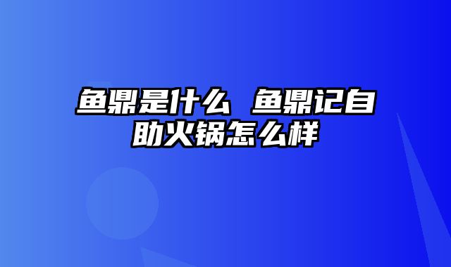 鱼鼎是什么 鱼鼎记自助火锅怎么样