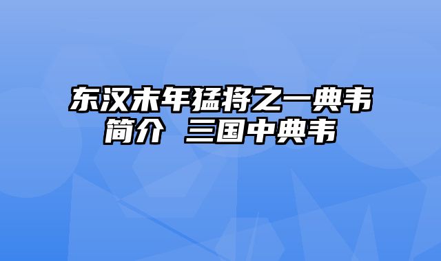 东汉末年猛将之一典韦简介 三国中典韦