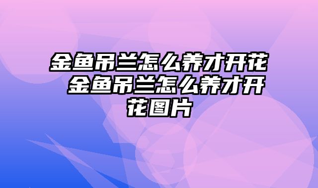 金鱼吊兰怎么养才开花 金鱼吊兰怎么养才开花图片