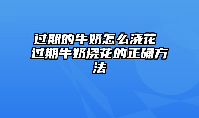 过期的牛奶怎么浇花 过期牛奶浇花的正确方法