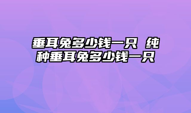 垂耳兔多少钱一只 纯种垂耳兔多少钱一只