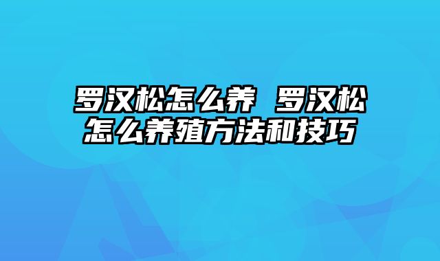 罗汉松怎么养 罗汉松怎么养殖方法和技巧