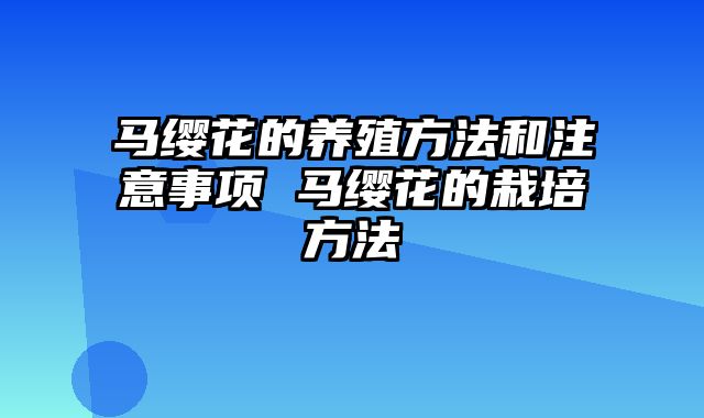 马缨花的养殖方法和注意事项 马缨花的栽培方法