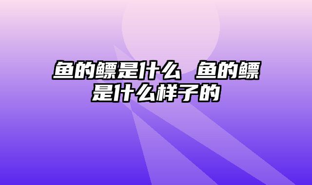 鱼的鳔是什么 鱼的鳔是什么样子的