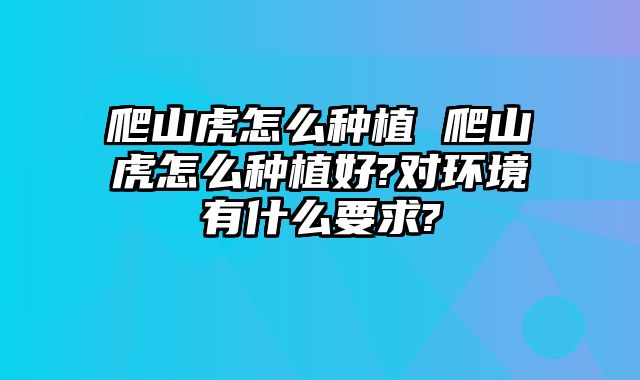 爬山虎怎么种植 爬山虎怎么种植好?对环境有什么要求?