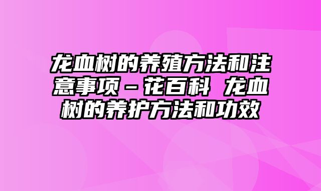 龙血树的养殖方法和注意事项–花百科 龙血树的养护方法和功效