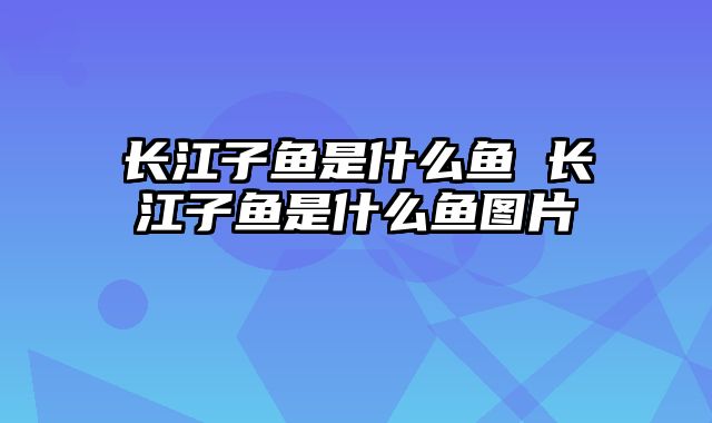 长江子鱼是什么鱼 长江子鱼是什么鱼图片