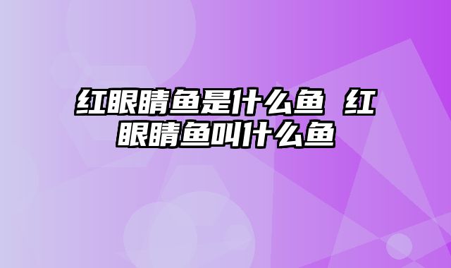 红眼睛鱼是什么鱼 红眼睛鱼叫什么鱼