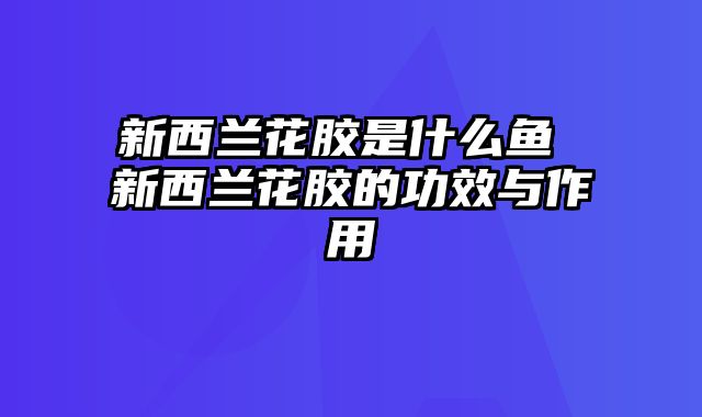 新西兰花胶是什么鱼 新西兰花胶的功效与作用 