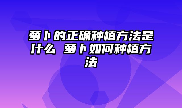 萝卜的正确种植方法是什么 萝卜如何种植方法