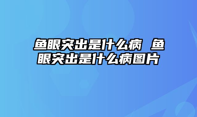 鱼眼突出是什么病 鱼眼突出是什么病图片