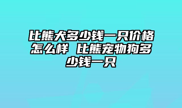 比熊犬多少钱一只价格怎么样 比熊宠物狗多少钱一只