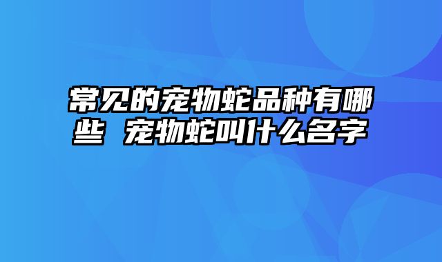 常见的宠物蛇品种有哪些 宠物蛇叫什么名字