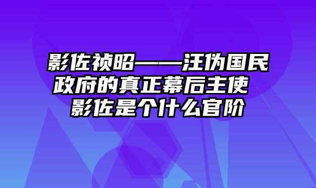 影佐祯昭——汪伪国民政府的真正幕后主使 影佐是个什么官阶