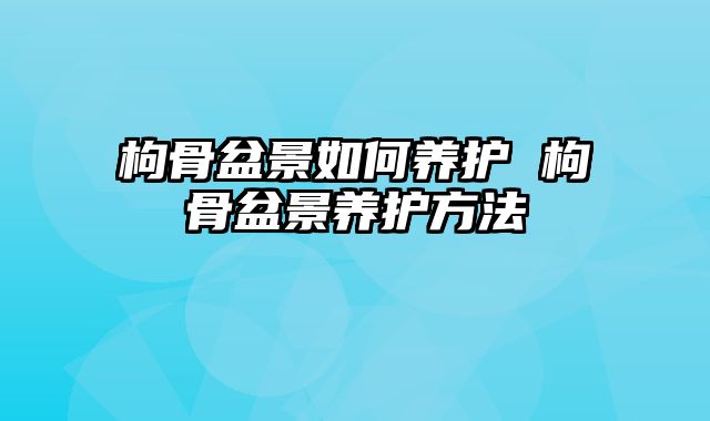 枸骨盆景如何养护 枸骨盆景养护方法