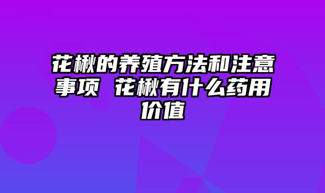 花楸的养殖方法和注意事项 花楸有什么药用价值