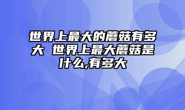 世界上最大的蘑菇有多大 世界上最大蘑菇是什么,有多大