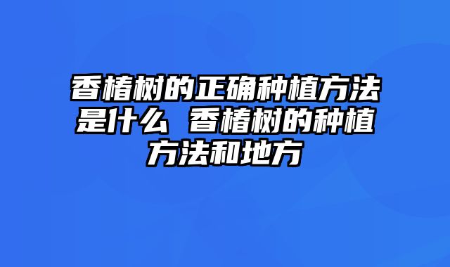 香椿树的正确种植方法是什么 香椿树的种植方法和地方