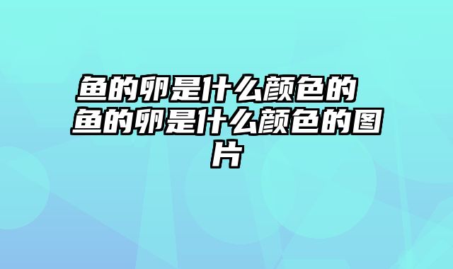 鱼的卵是什么颜色的 鱼的卵是什么颜色的图片