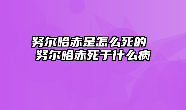 努尔哈赤是怎么死的 努尔哈赤死于什么病