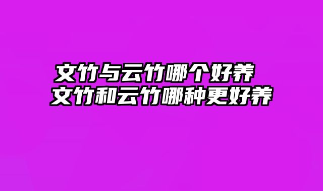 文竹与云竹哪个好养 文竹和云竹哪种更好养