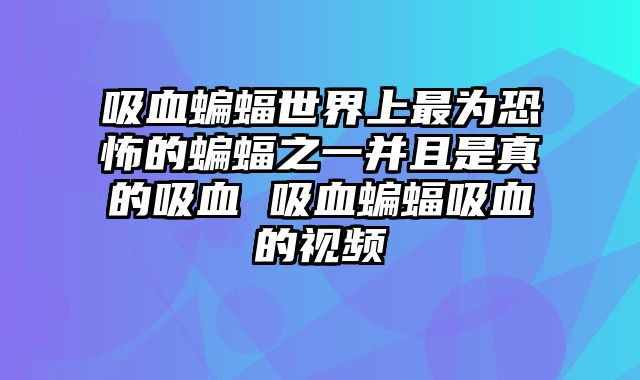 吸血蝙蝠世界上最为恐怖的蝙蝠之一并且是真的吸血 吸血蝙蝠吸血的视频