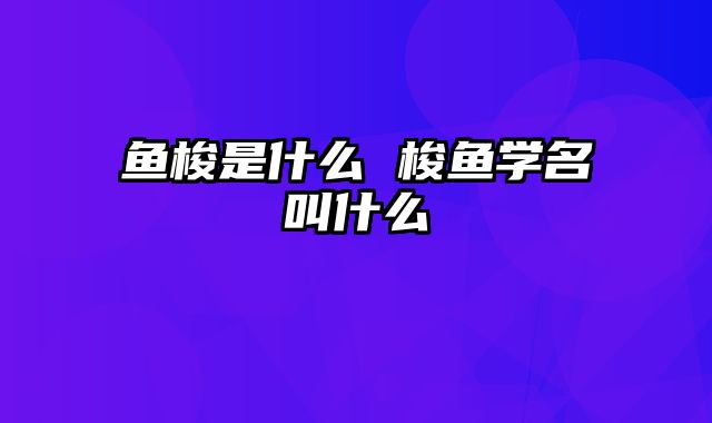 鱼梭是什么 梭鱼学名叫什么