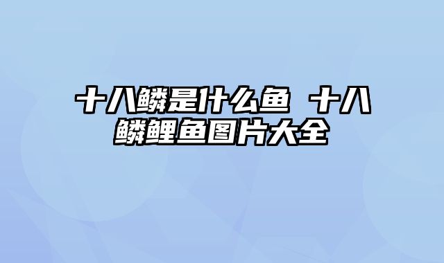 十八鳞是什么鱼 十八鳞鲤鱼图片大全 