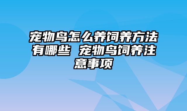 宠物鸟怎么养饲养方法有哪些 宠物鸟饲养注意事项