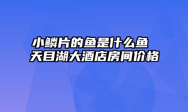 小鳞片的鱼是什么鱼 天目湖大酒店房间价格