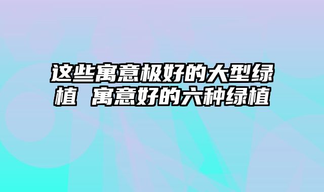 这些寓意极好的大型绿植 寓意好的六种绿植