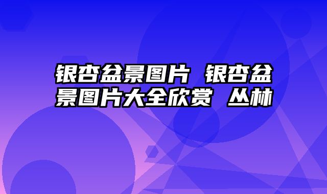 银杏盆景图片 银杏盆景图片大全欣赏 丛林