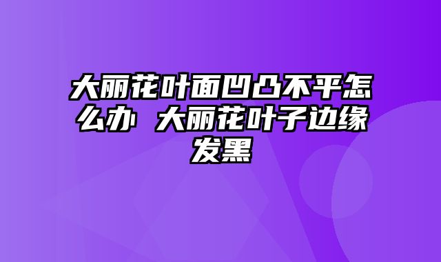 大丽花叶面凹凸不平怎么办 大丽花叶子边缘发黑 