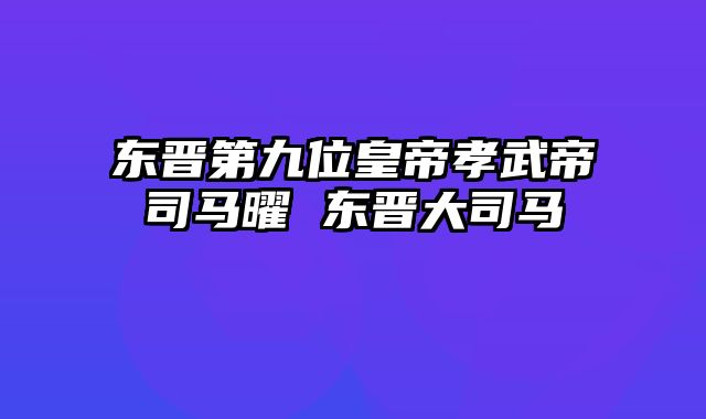 东晋第九位皇帝孝武帝司马曜 东晋大司马