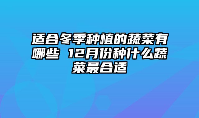 适合冬季种植的蔬菜有哪些 12月份种什么蔬菜最合适