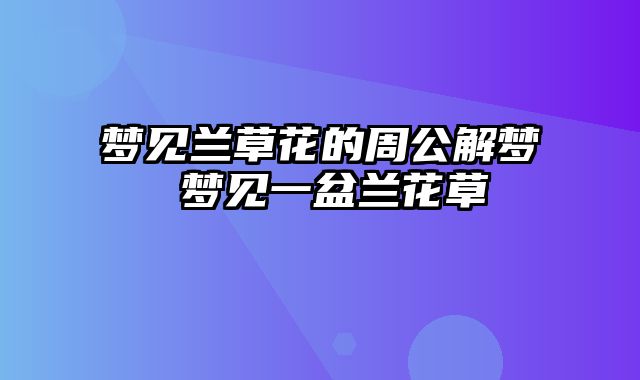 梦见兰草花的周公解梦 梦见一盆兰花草