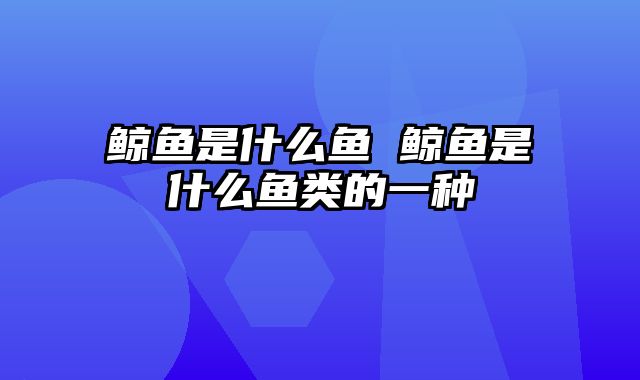 鲸鱼是什么鱼 鲸鱼是什么鱼类的一种