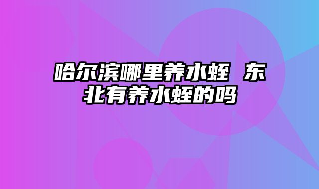 哈尔滨哪里养水蛭 东北有养水蛭的吗