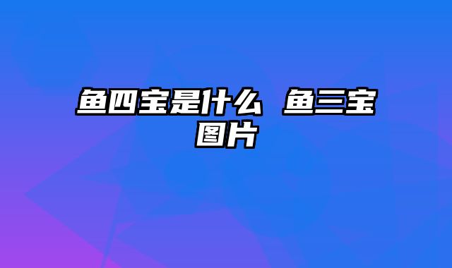 鱼四宝是什么 鱼三宝图片